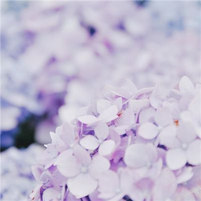 妖怪手表欢乐节奏手游下载